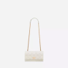 DIOR CARO Belt Pouch - Image 5
